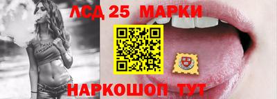 гашик Кулебаки