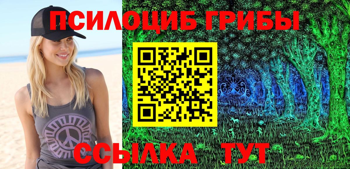 Псилоцибиновые грибы GOLDEN TEACHER  Галлюциногенные грибы мицелий  Заводоуковск  купить наркотики сайты  Вход с VPN 